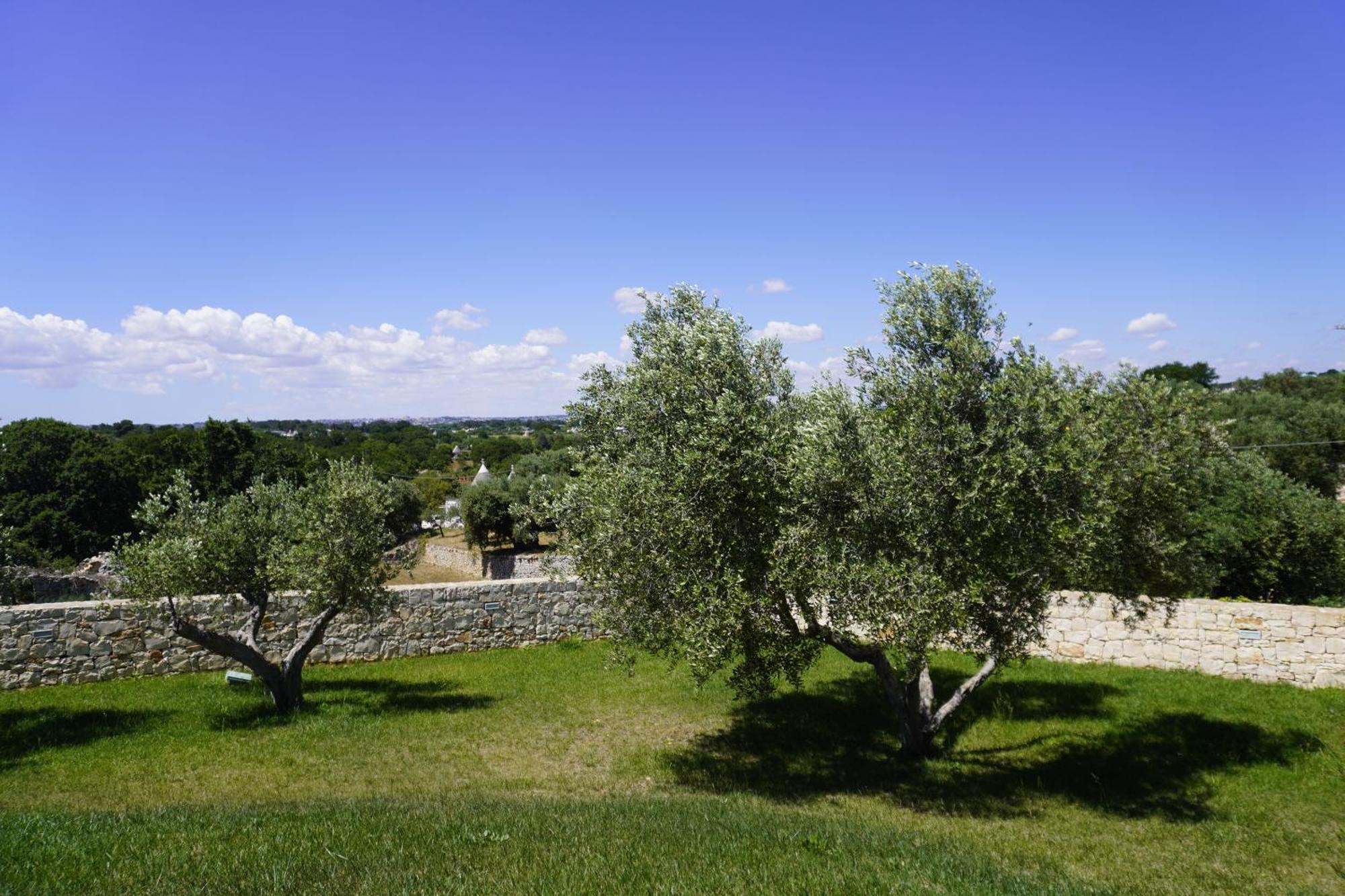 Trullo Amico Villa Cisternino Ngoại thất bức ảnh