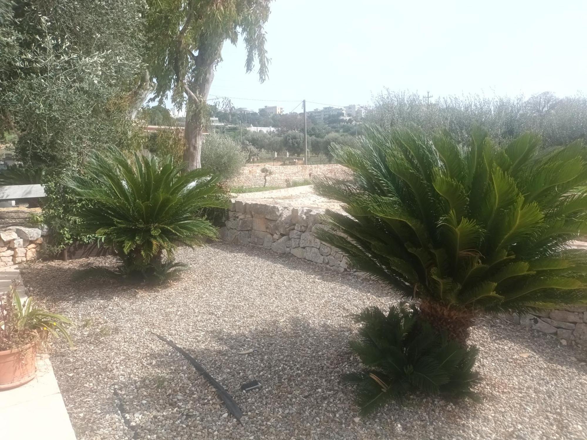 Trullo Amico Villa Cisternino Ngoại thất bức ảnh